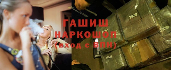 хмурый Аркадак