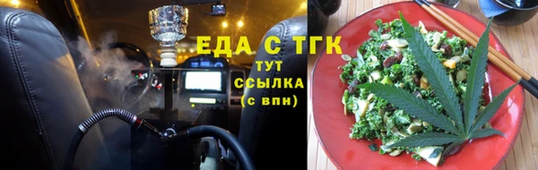 хмурый Аркадак