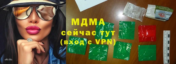 хмурый Аркадак