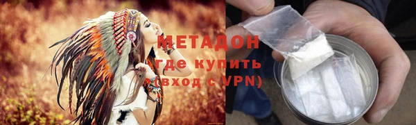 хмурый Аркадак