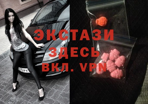 хмурый Аркадак