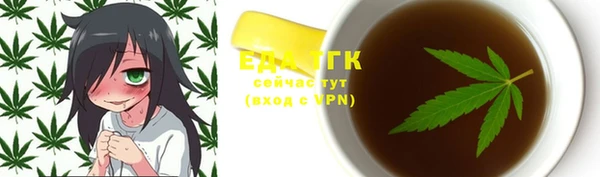 хмурый Аркадак