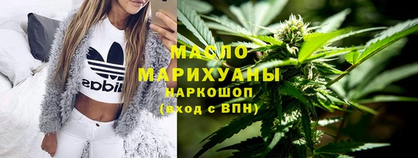 хмурый Аркадак
