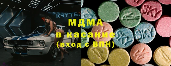 хмурый Аркадак