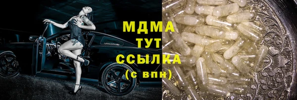хмурый Аркадак