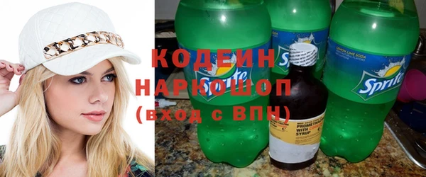 хмурый Аркадак