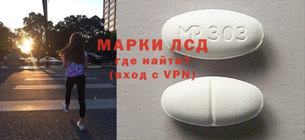 хмурый Аркадак